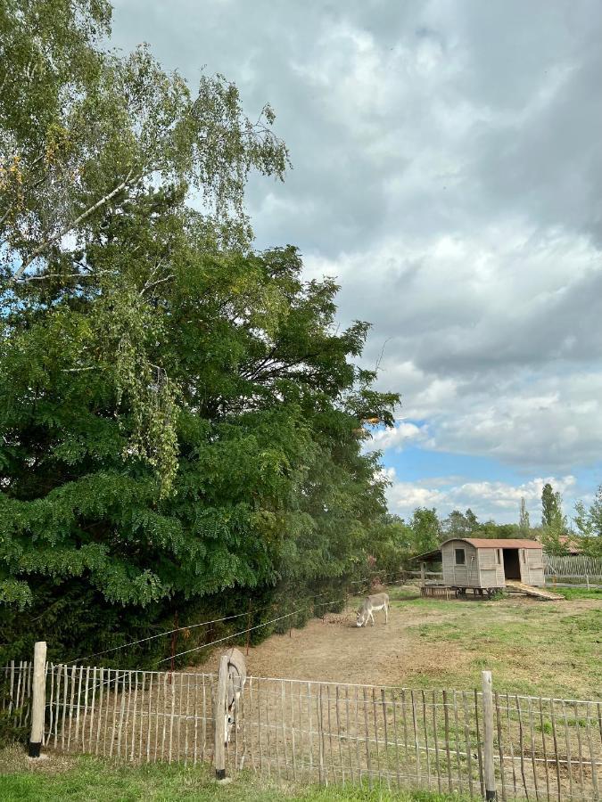 Lieblingsplatz Parey - Tiny House公寓 外观 照片